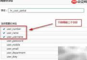 数据展示工具字段使用技巧