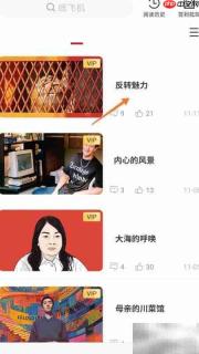 冥想中播放反转魅力技巧
