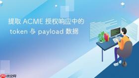提取 ACME 授权响应中的 token 与 payload 数据