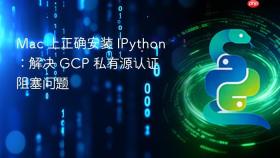 Mac 上正确安装 IPython：解决 GCP 私有源认证阻塞问题
