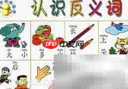 如何判断词语是否为反义词