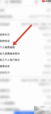 参保基数计算方法详解