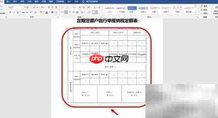 定期定额户如何填报纳税申报表