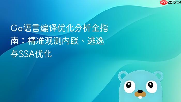 Go语言编译优化分析全指南:精准观测内联、逃逸与SSA优化