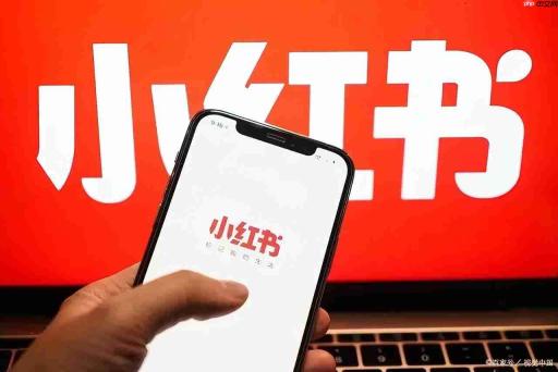 小红书正式上线AI Skill功能