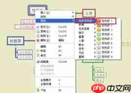 XMind如何制作每日计划