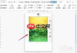 word图片怎么铺满页面
