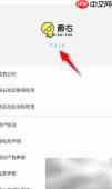 最右极速版查看版本号方法