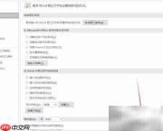 Word校对选项设置方法