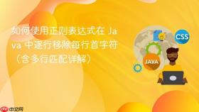 如何使用正则表达式在 Java 中逐行移除每行首字符(含多行匹配详解)