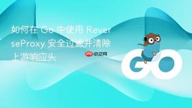 如何在 Go 中使用 ReverseProxy 安全过滤并清除上游响应头
