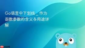 Go语言中下划线 _ 作为函数参数的含义与用途详解
