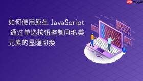 如何使用原生 JavaScript 通过单选按钮控制同名类元素的显隐切换