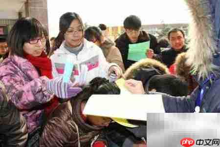 大学生就业指南:轻松迈入职场