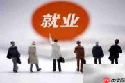 大学生就业指南:轻松迈入职场