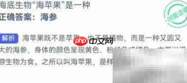 海苹果是哪种海底生物？