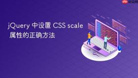 jQuery 中设置 CSS scale 属性的正确方法
