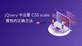 jQuery 中设置 CSS scale 属性的正确方法