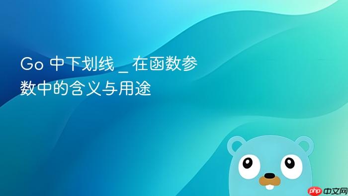 Go 中下划线 _ 在函数参数中的含义与用途