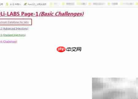 Sqli-labs环境搭建指南