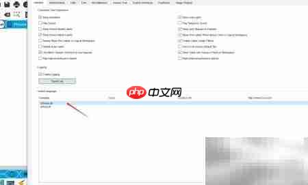 Packet Tracer汉化教程