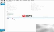 Packet Tracer汉化教程