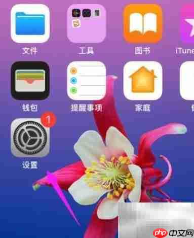 FaceTime开启方法详解