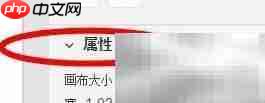 Dimension文档属性设置指南