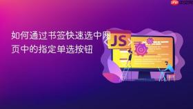 如何通过书签快速选中网页中的指定单选按钮