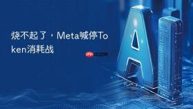 烧不起了,meta喊停token消耗战