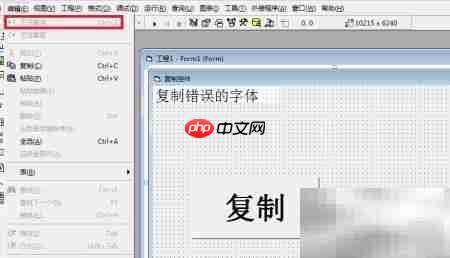 VB6清除误粘文字
