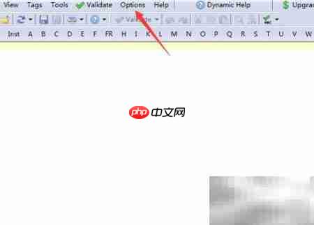 CSE Validator关闭制表符方法