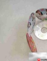 DVD光盘变身创意小花盆