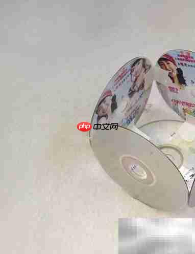 DVD光盘变身创意小花盆