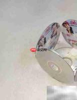 DVD光盘变身创意小花盆