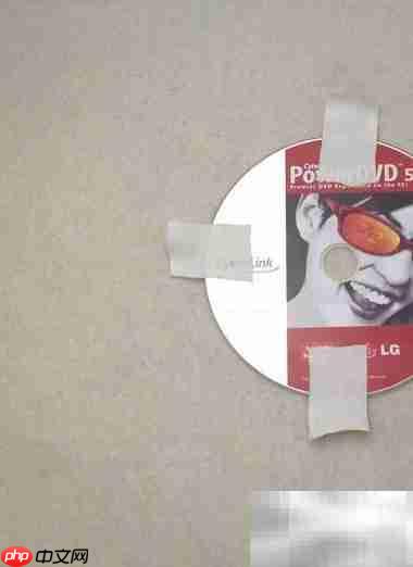 DVD光盘变身创意小花盆