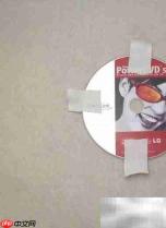 DVD光盘变身创意小花盆