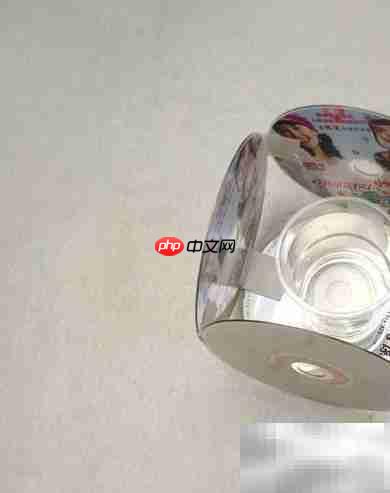 DVD光盘变身创意小花盆