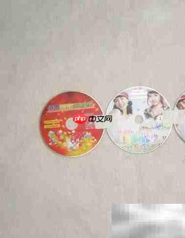 DVD光盘变身创意小花盆
