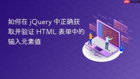 如何在 jQuery 中正确获取并验证 HTML 表单中的输入元素值
