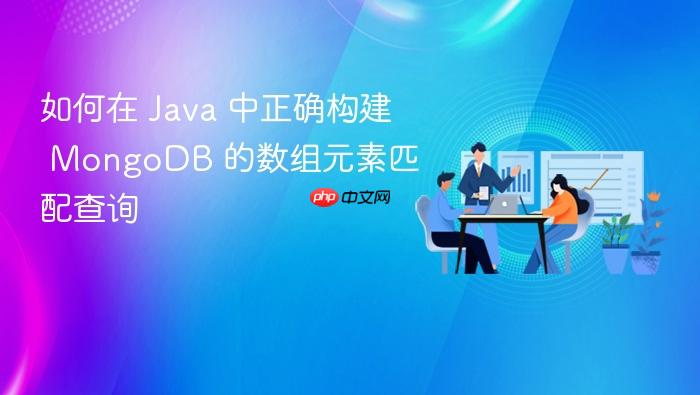 如何在 Java 中正确构建 MongoDB 的数组元素匹配查询