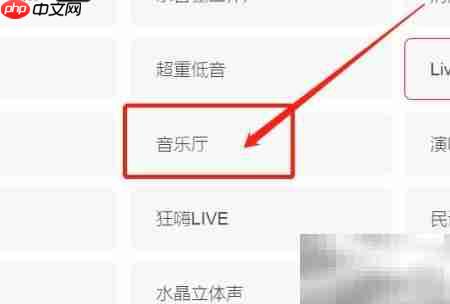 云音乐音乐厅音效设置指南