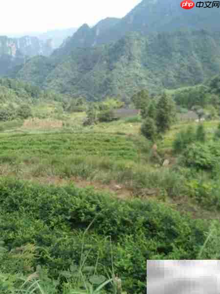 鸣凤村旅游扶贫致富记
