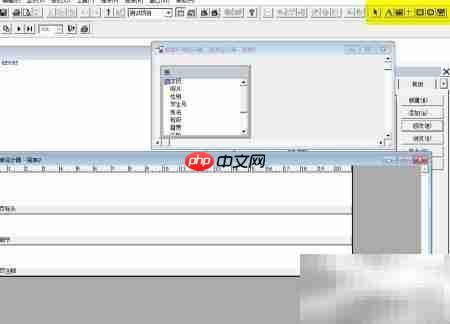 vf报表设计中添加标签控件
