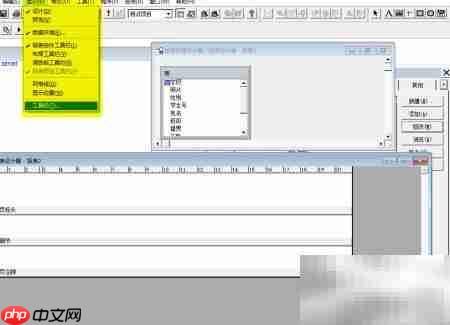 vf报表设计中添加标签控件