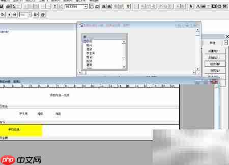 vf报表设计中添加标签控件