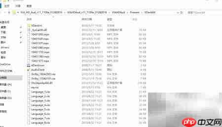 VIA声卡驱动问题致开机错误