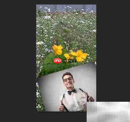 Photoshop CS6新手照片置入指南