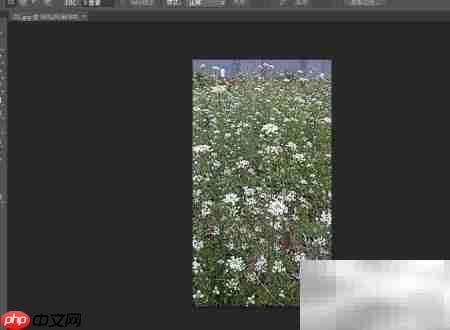 Photoshop CS6新手照片置入指南