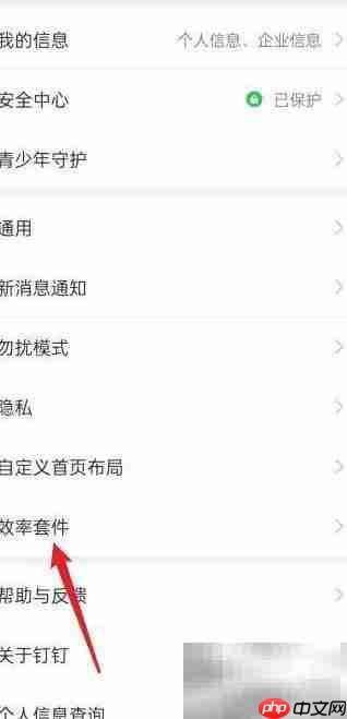 钉钉效率套件查看方法